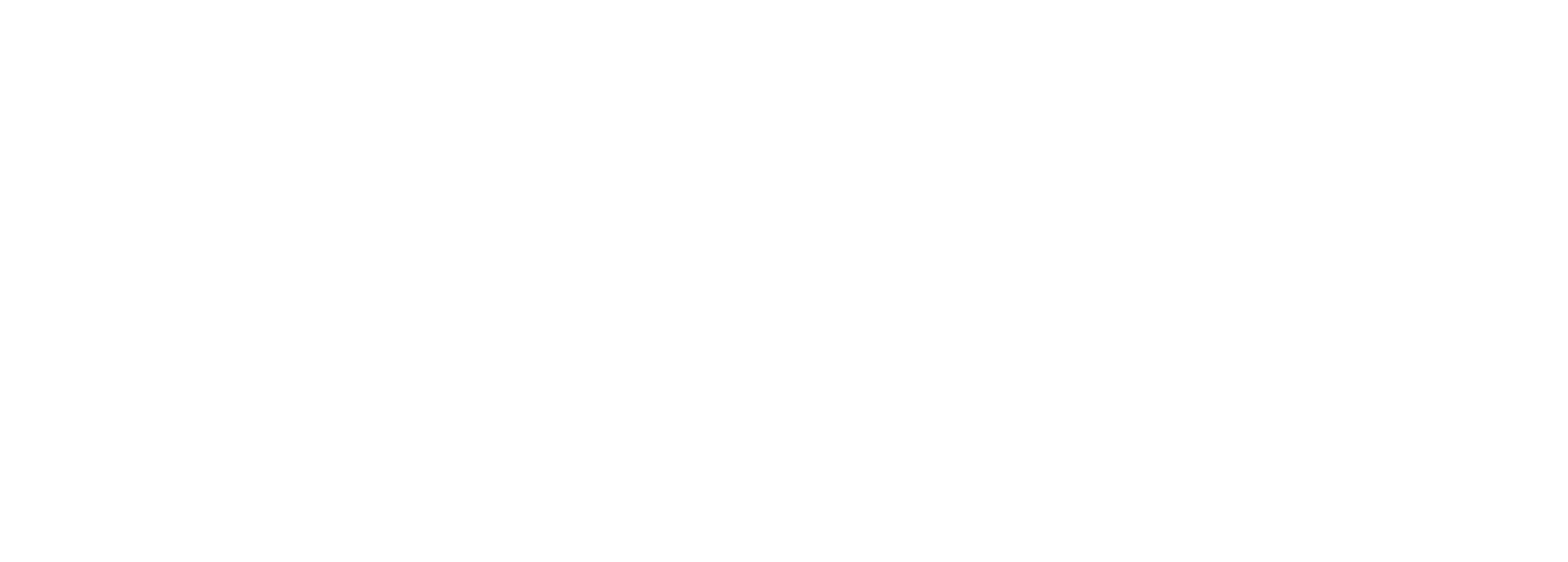 Anpic Fest