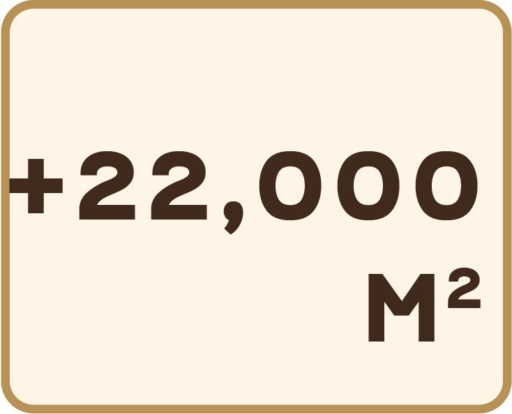 +22,000 M2