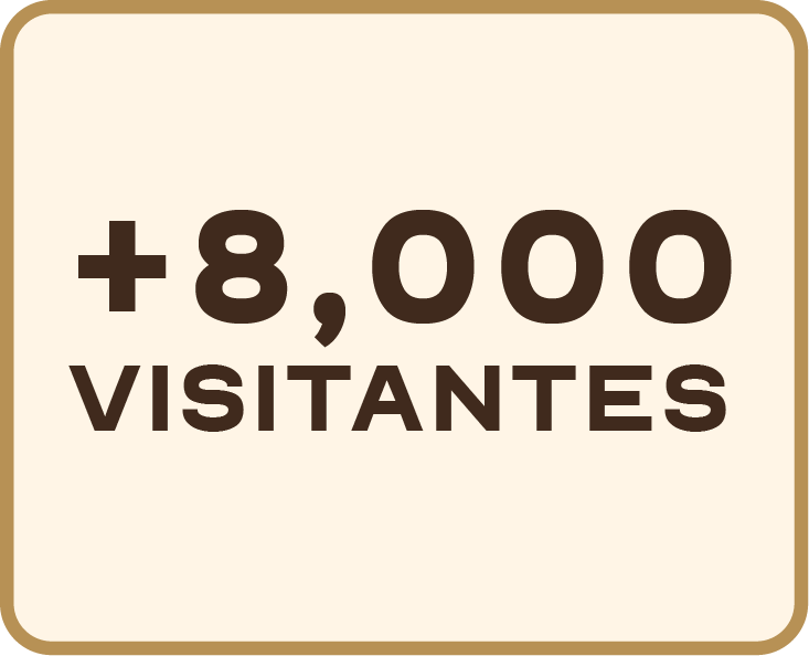 +8000 Visitantes